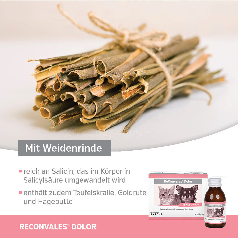 ReConvales Dolor 3 x 90ml