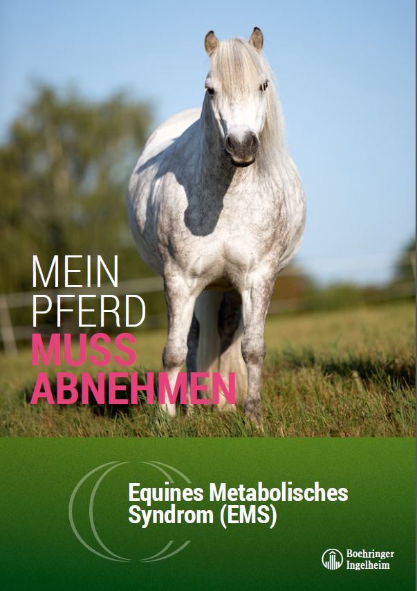 Nutraxin 30 x 4 Riegel