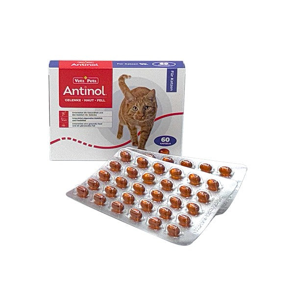 Antinol Katze 60 Kapseln