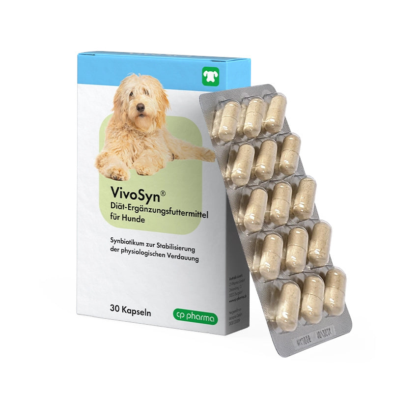 VivoSyn 30 Kapseln