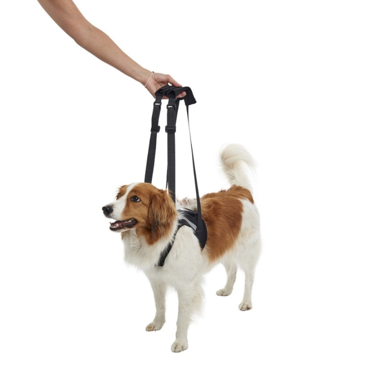 Kruuse Hebehilfe Vorderbeine