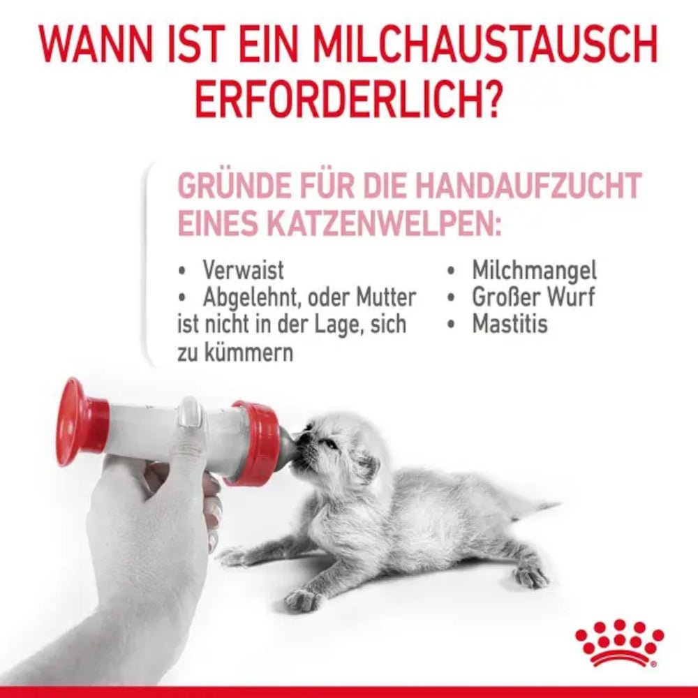 Royal Canin Babycat Milk 3 x 100g