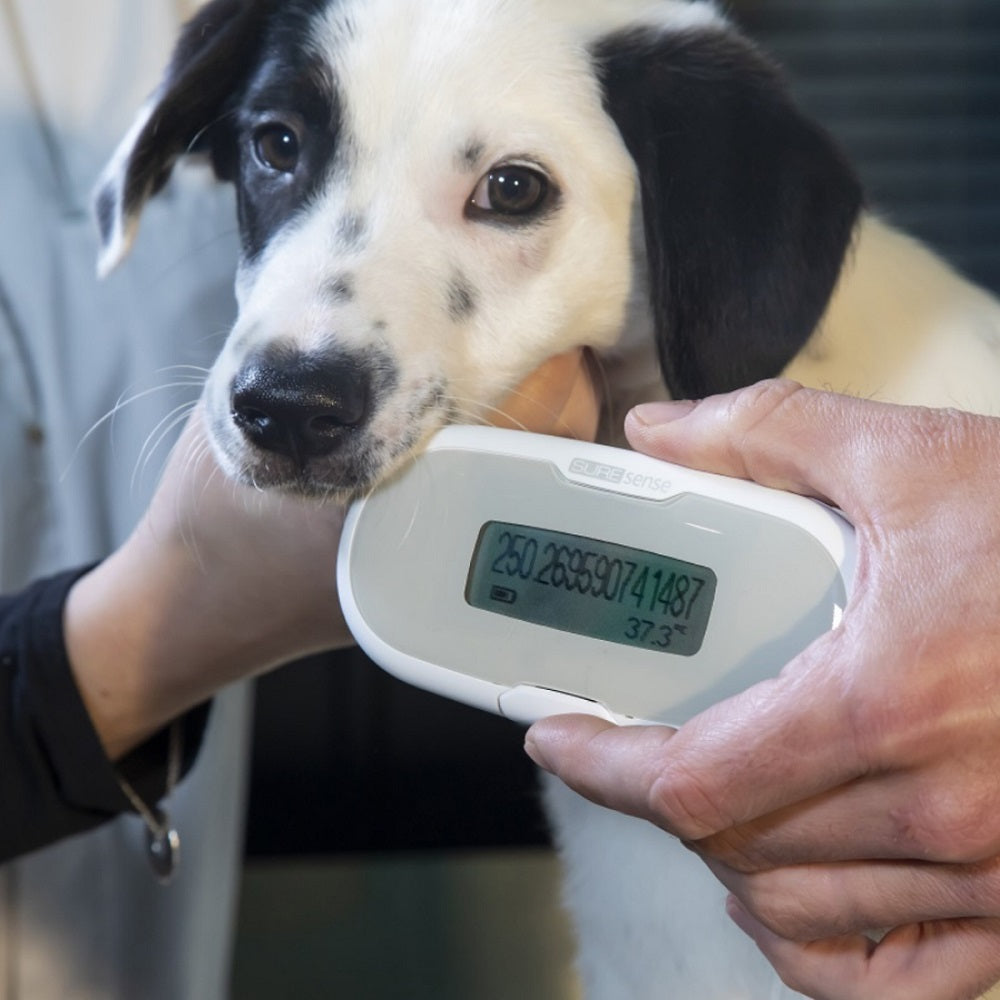 SureSense Mikrochip-Lesegerät Thermo