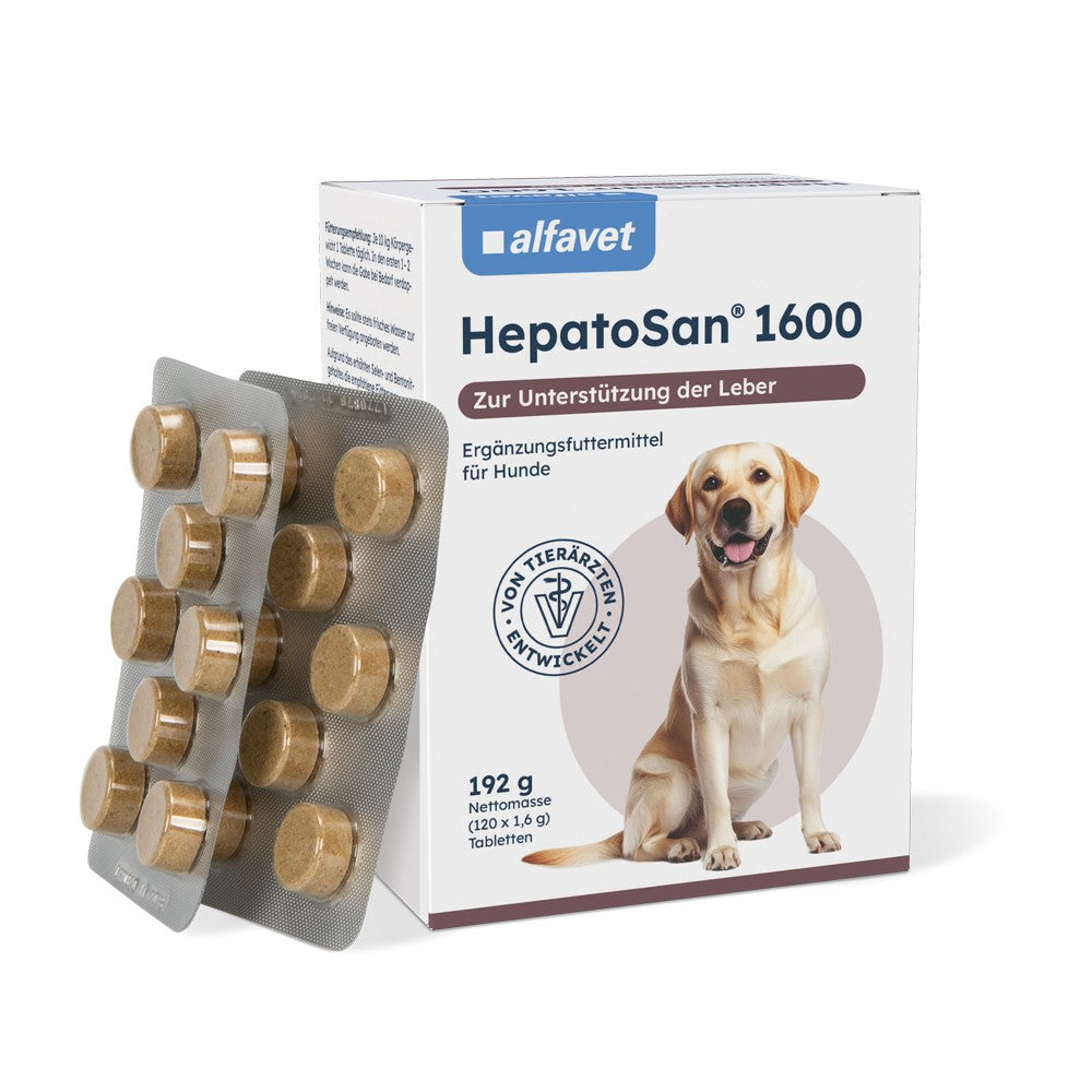 HepatoSan 1600 120 Tab.