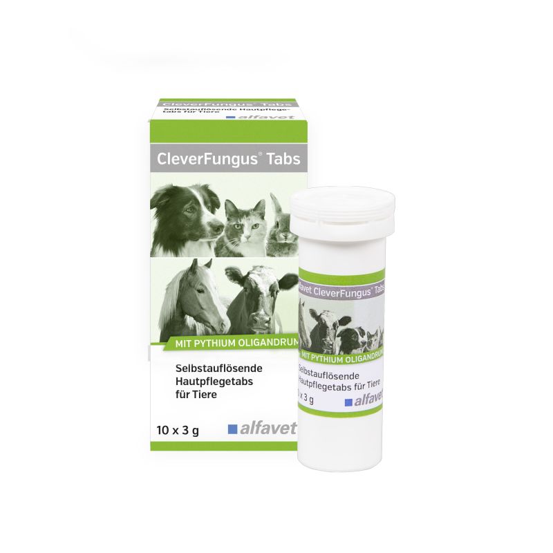 CleverFungus Tabs 10x3g