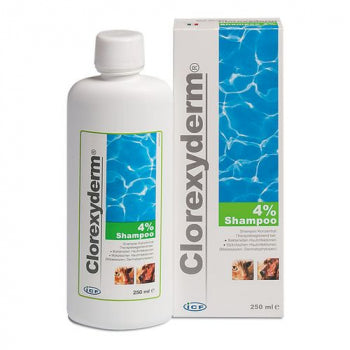 Clorexyderm Shampoo 4% 250ml
