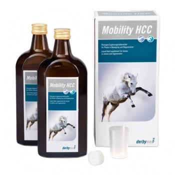 derbymed Mobility HCC 2x500ml