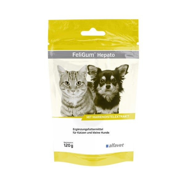 Feligum Hepato 120g