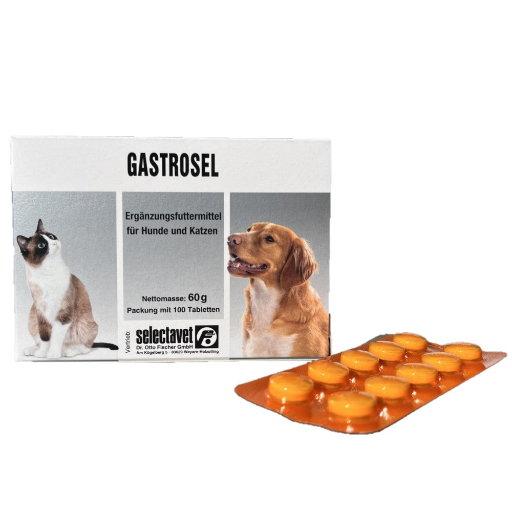 Gastrosel 100 Tabletten