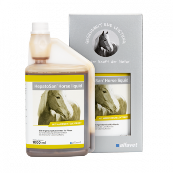 HepatoSan Horse Liquid 1L