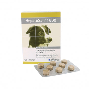 HepatoSan 1600 120 Tab.