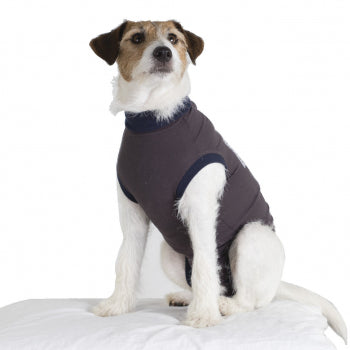 Jacketz Medical Body Hund