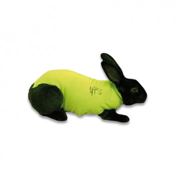 Medical Pet Shirt MPS Kaninchen OP Body
