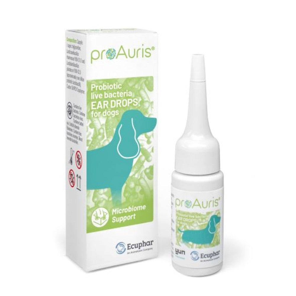 proAuris probiotische Ohrentropfen 20ml