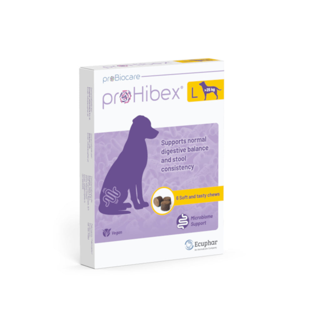 ProHibex L 6 Kautabletten