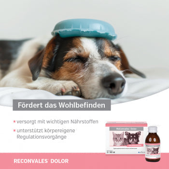 ReConvales Dolor 3 x 90ml