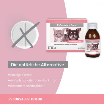 ReConvales Dolor 3 x 90ml