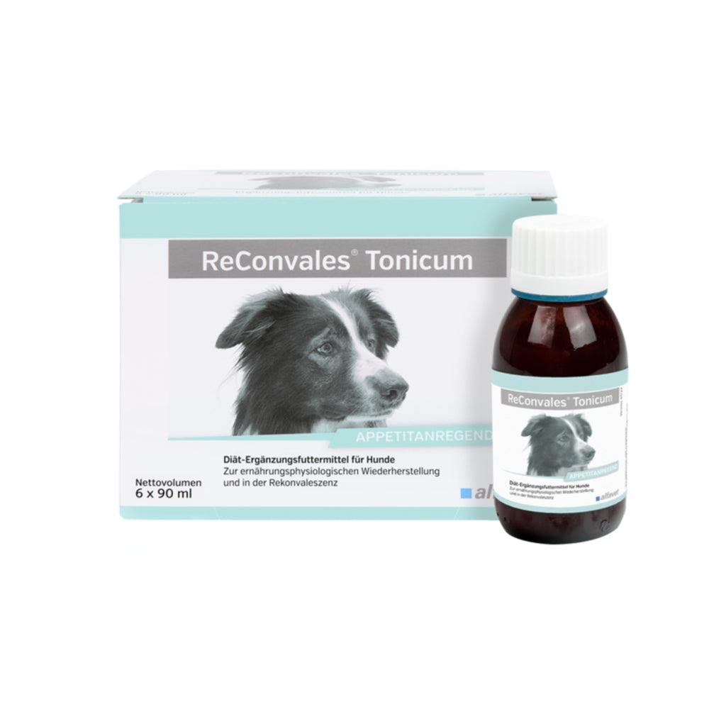 ReConvales Tonicum 6 x 90 ml Hund