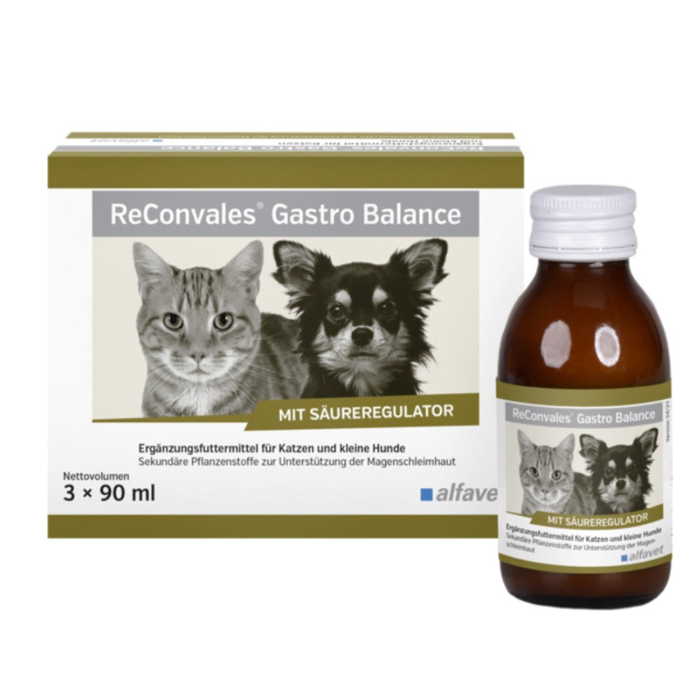 ReConvales Gastro Balance 3x90ml