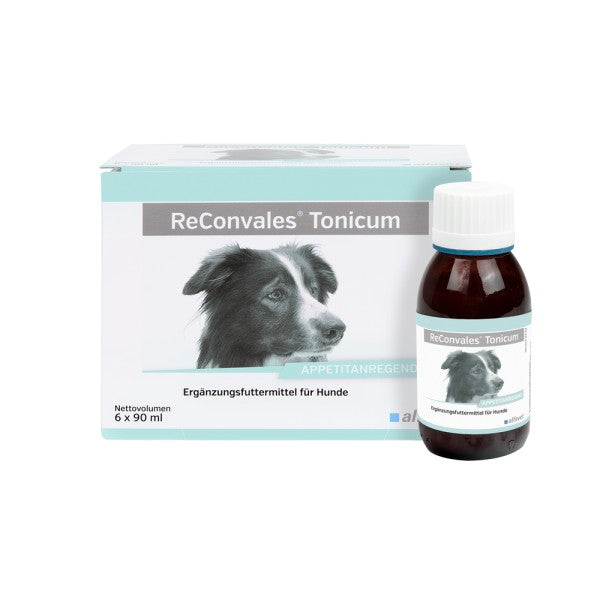 ReConvales Tonicum 6 x 90 ml Hund
