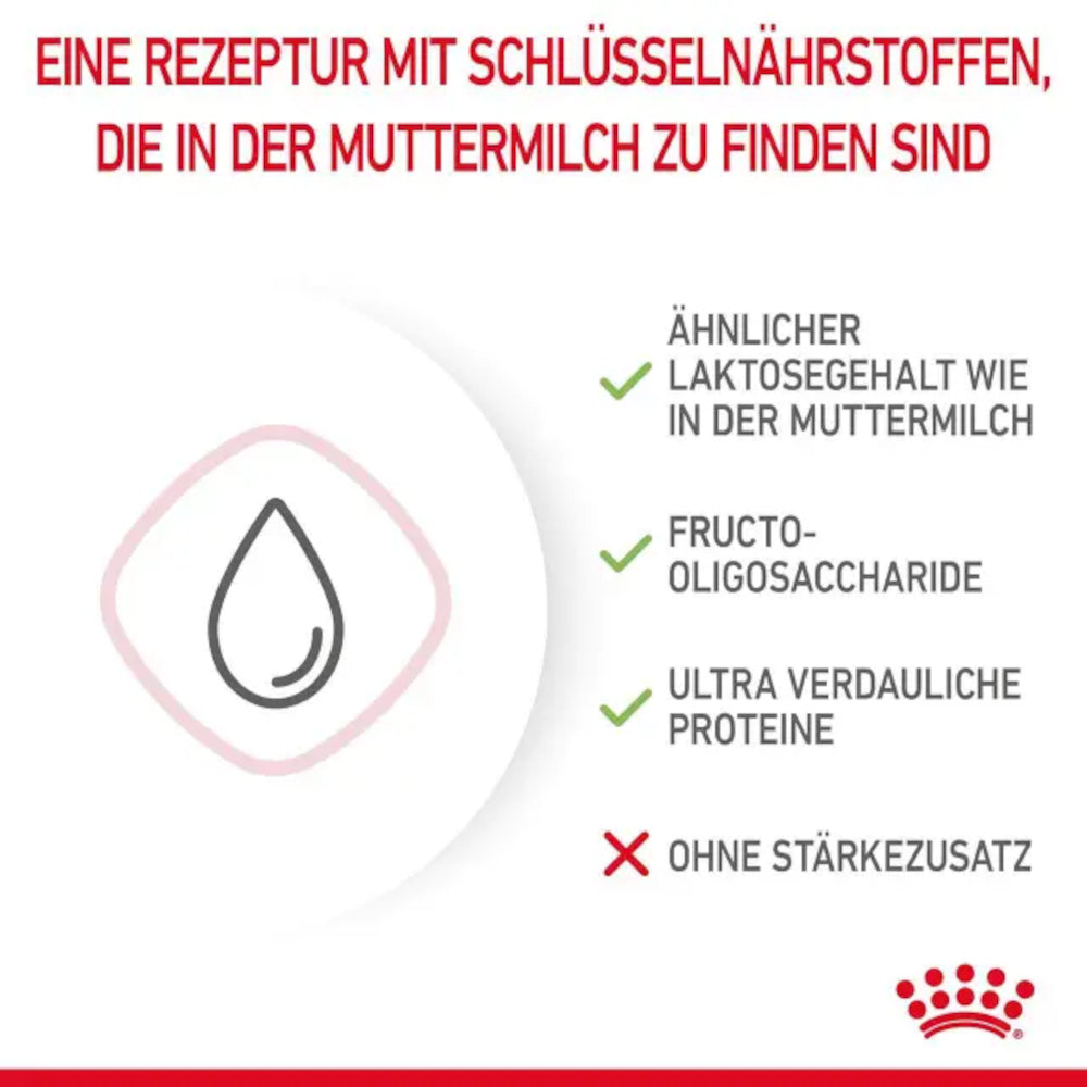 Royal Canin Babycat Milk 3 x 100g