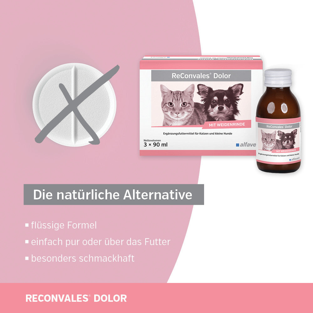 ReConvales Dolor 3 x 90ml