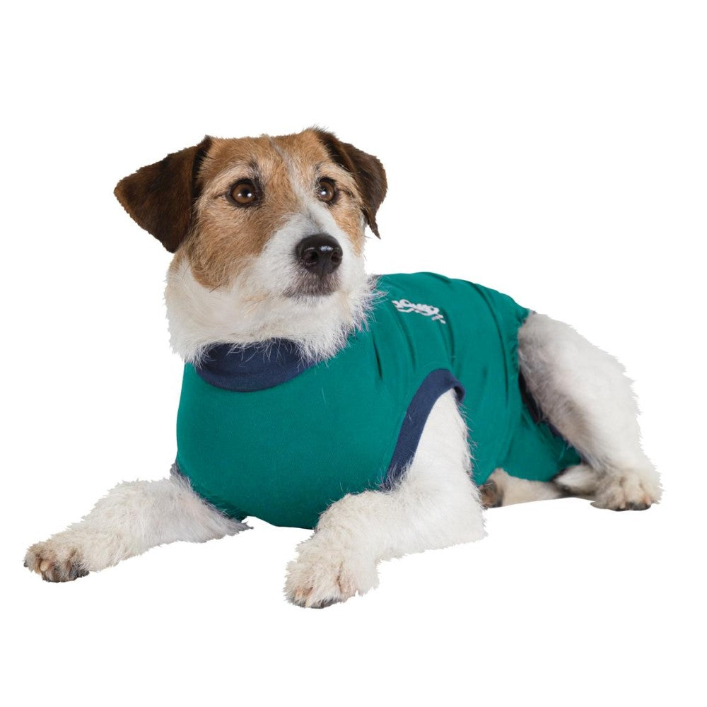 Jacketz Medical Body Hund