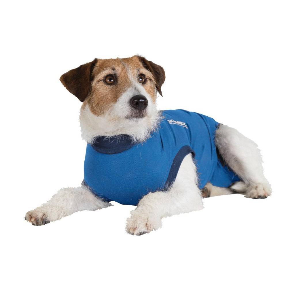 Jacketz Medical Body Hund