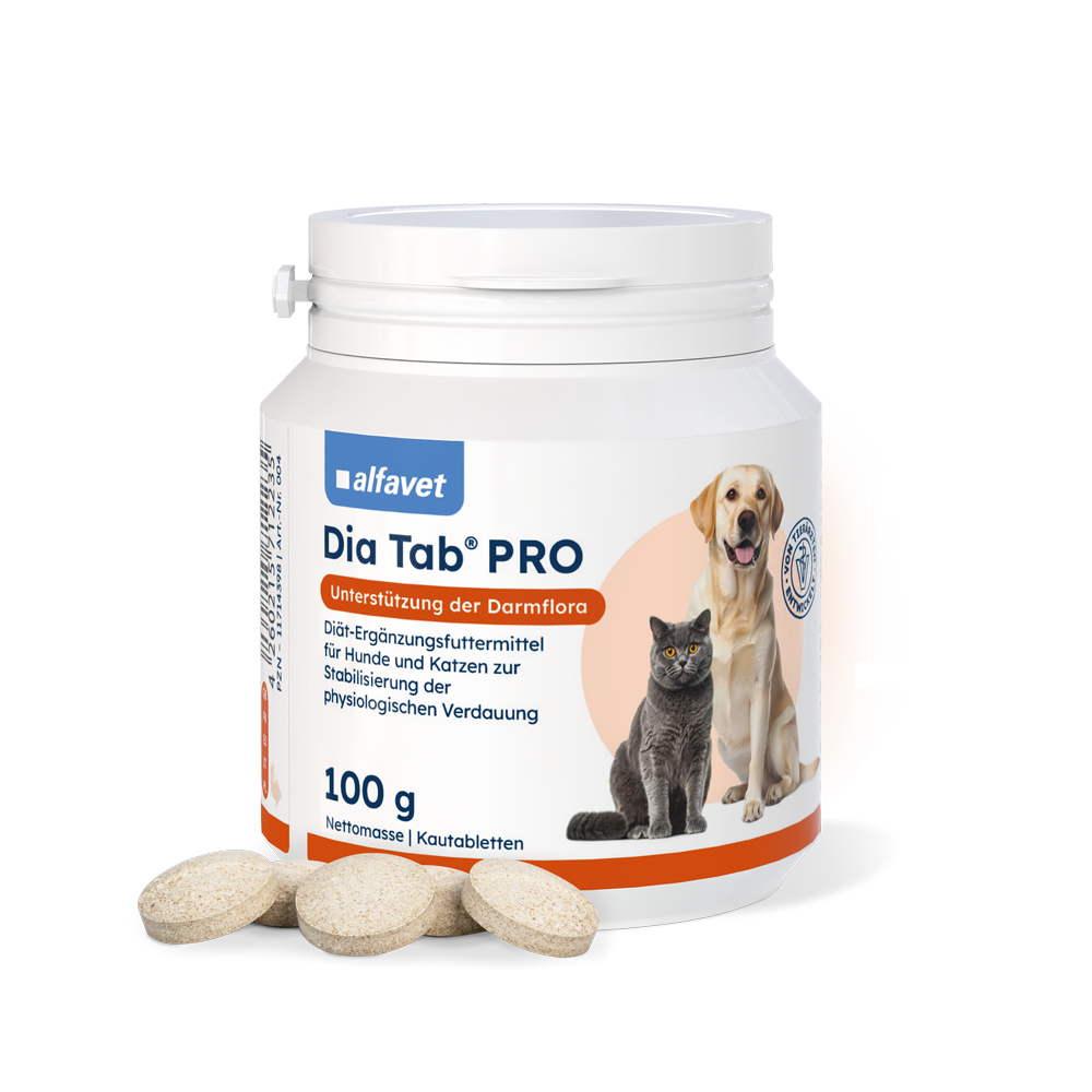Dia Tab Pro Kautabletten 100g