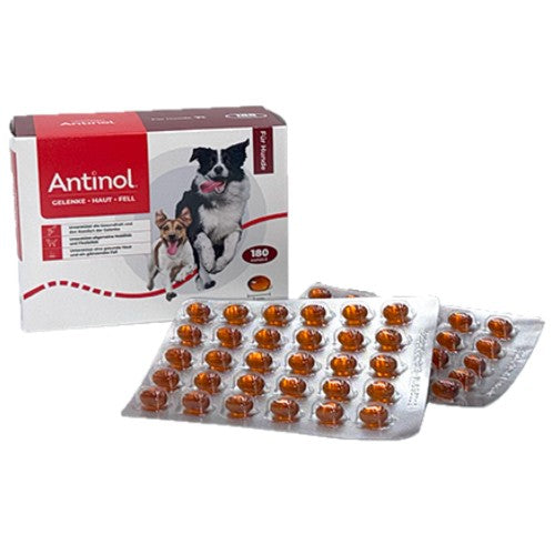 Antinol Hund 180 Kapseln