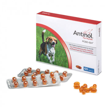 Antinol Hund 60 Kapseln