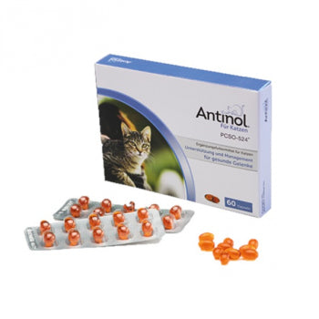 Antinol Katze 60 Kapseln