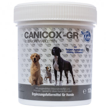 Collagile Dog NutriLabs Canicox-HD Gelenktabletten Für Hunde – 140 Stk., Mit MSM, Glucosamin, Teufelskralle | Nahrungsergänzung MSM Für Hunde
