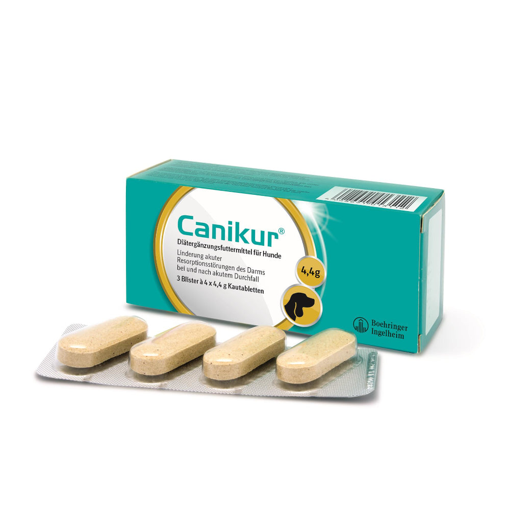 Canikur 12 Kautabletten