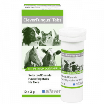 CleverFungus Tabs 10x3g