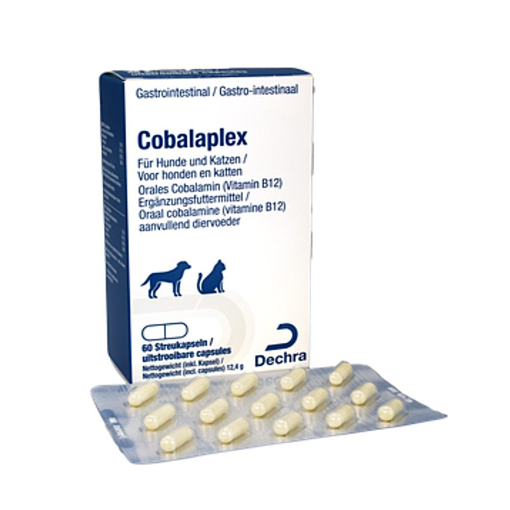Cobalaplex 60 Kapseln