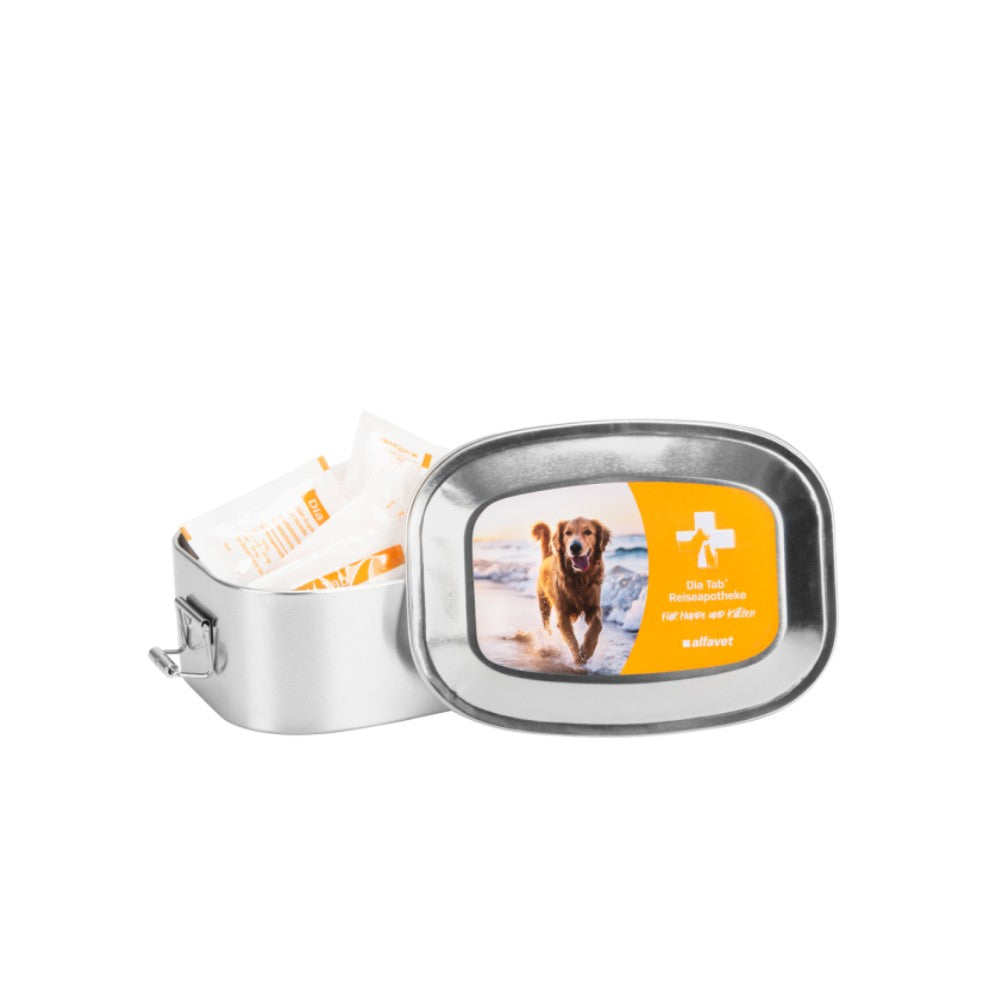 Dia Tab 20 Tabletten + Dose Reiseapotheke