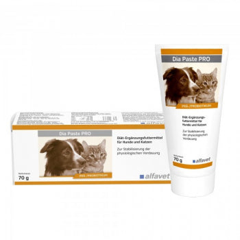 Dia Paste PRO 70g