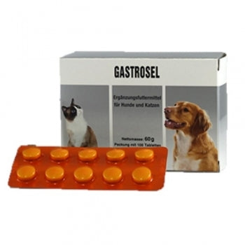 Gastrosel 100 Tabletten