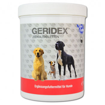 Geridex 250 Kautabletten