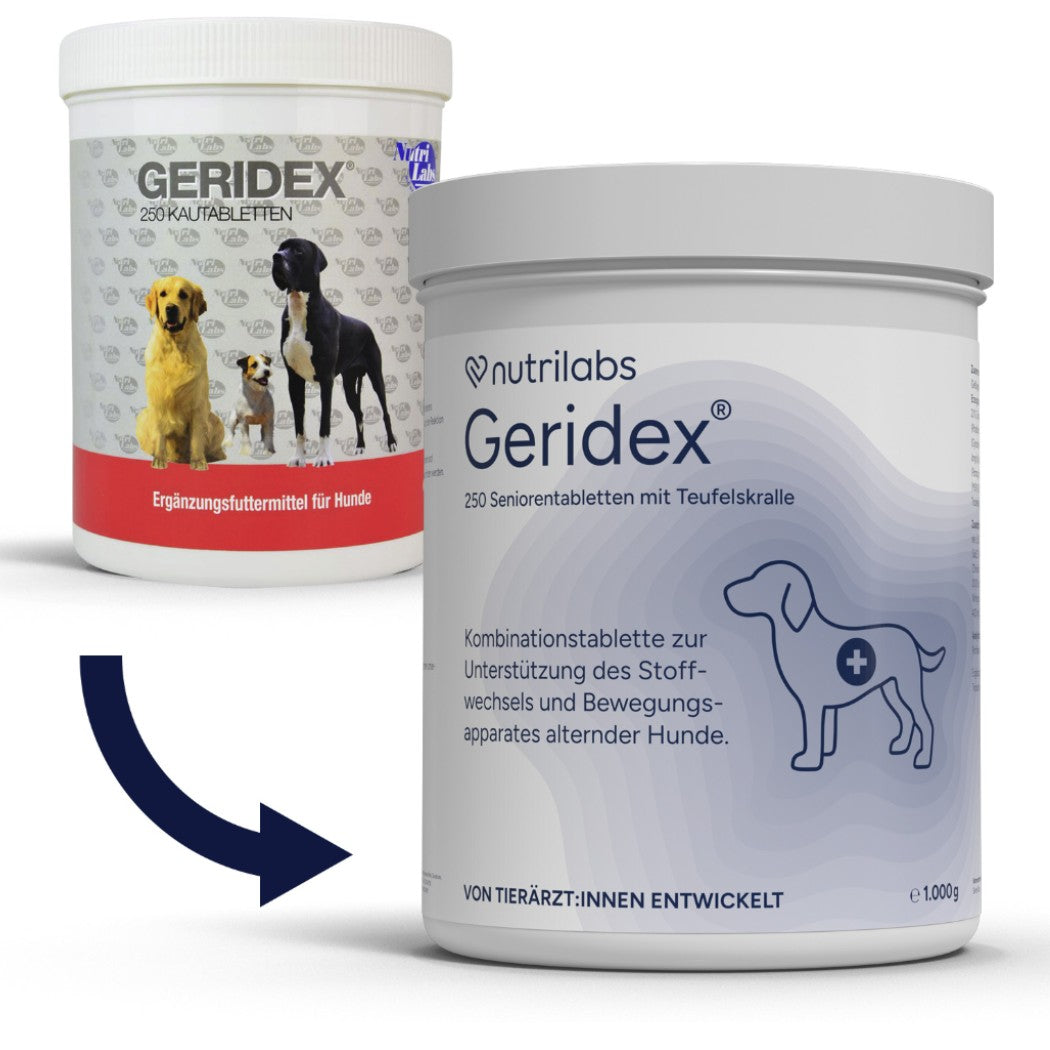 Geridex 250 Kautabletten