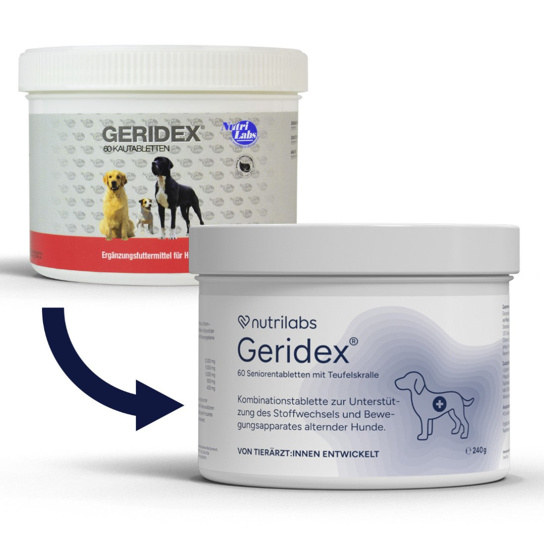 Geridex 60 Kautabletten