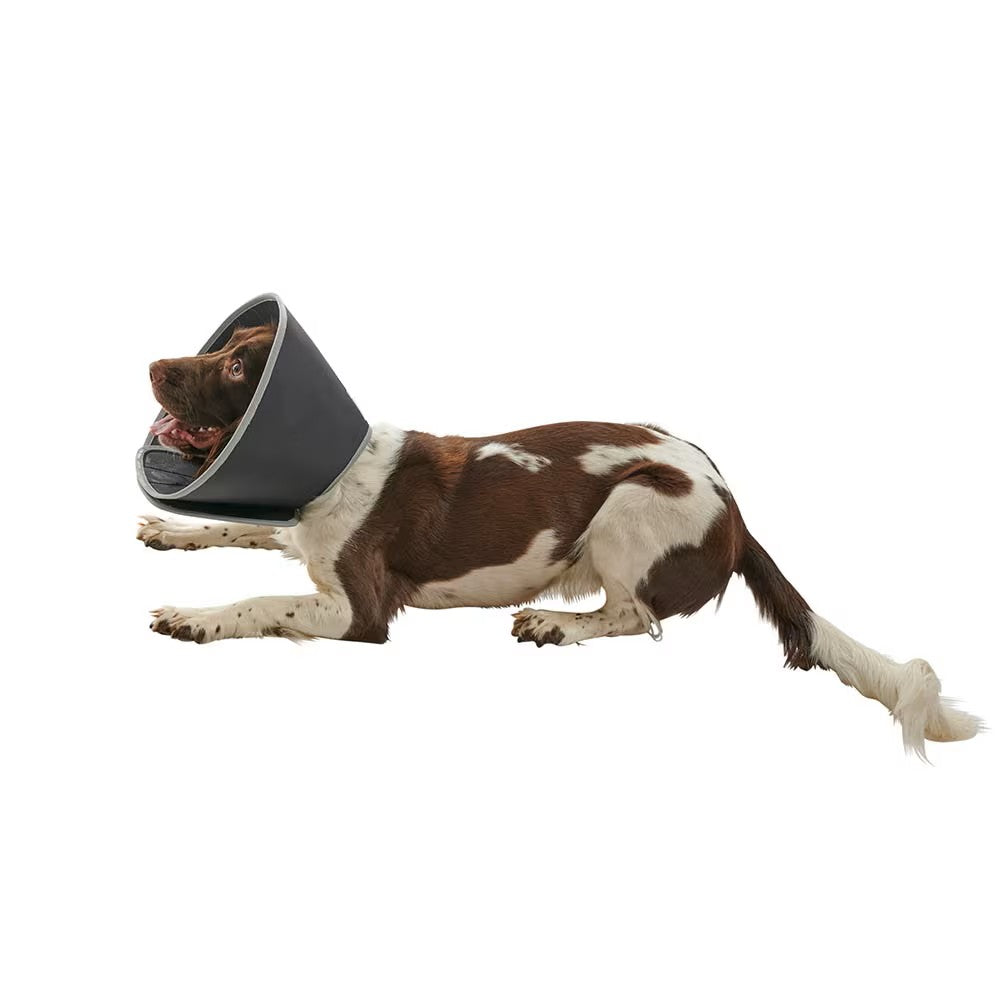 Buster Foam Halskragen Leckschutz