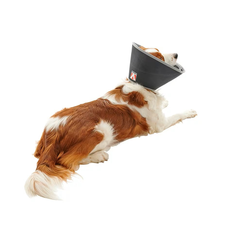 Buster Foam Halskragen Leckschutz