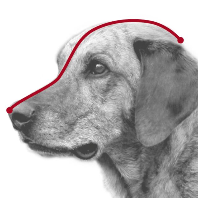 Trixie Maulkorb
