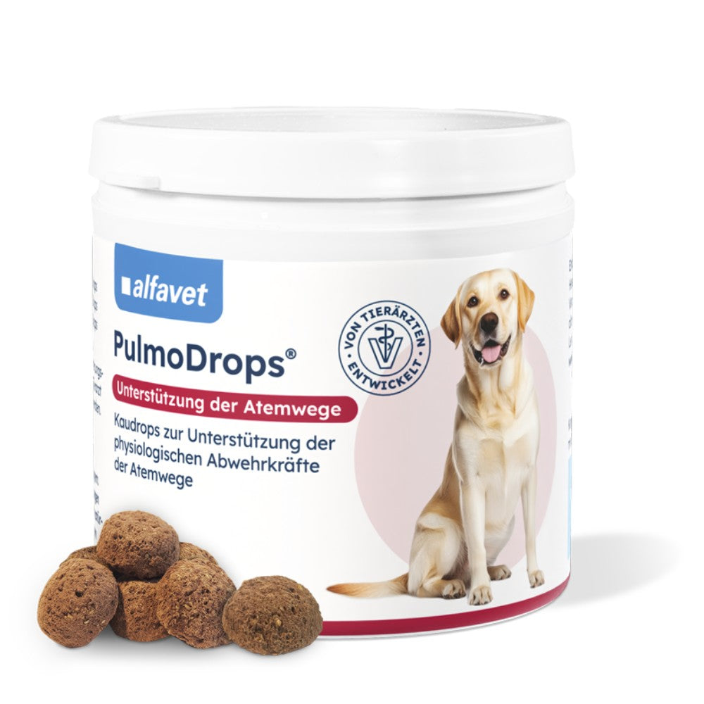 Pulmo Drops 180g
