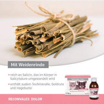 ReConvales Dolor 3 x 90ml