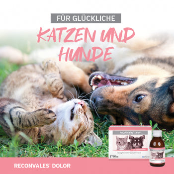 ReConvales Dolor 3 x 90ml