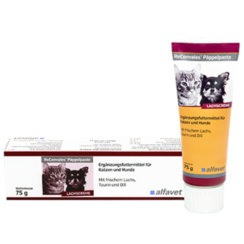 ReConvales Päppelpaste 75g