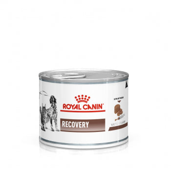 Royal Canin Recovery Ultra Soft Mousse 12 x 195g